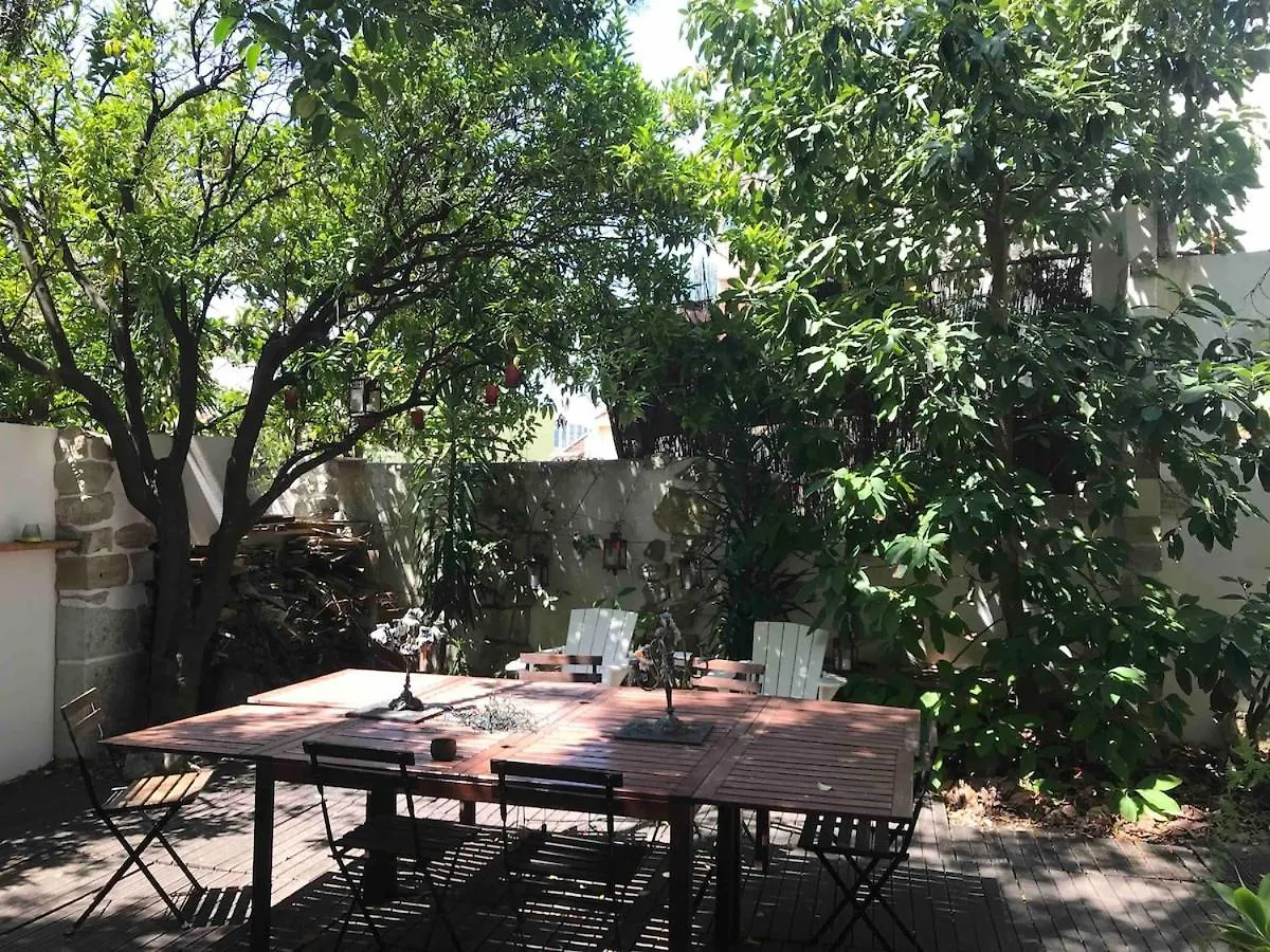 Amazing Mezzanine House With Garden - City Centre Lissabon Apartment